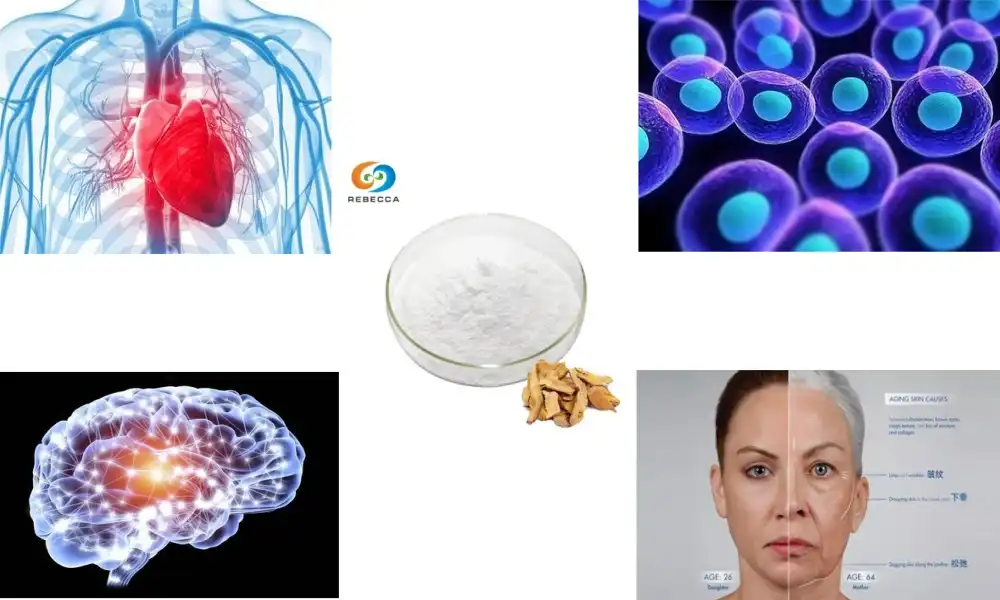 How safe is long-term use of resveratrol supplements?